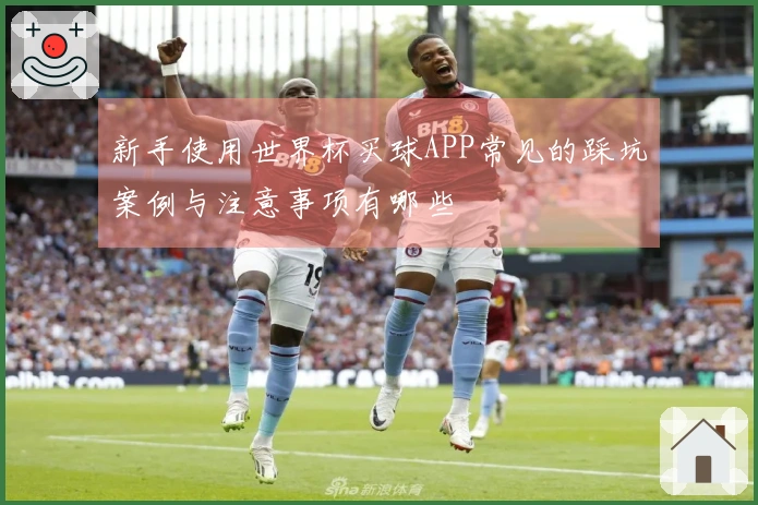 新手使用世界杯买球APP常见的踩坑案例与注意事项有哪些
