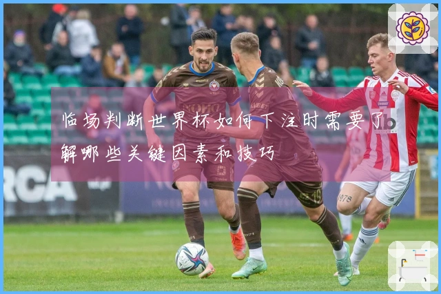 临场判断世界杯如何下注时需要了解哪些关键因素和技巧