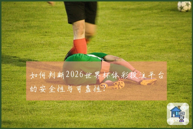如何判断2026世界杯体彩投注平台的安全性与可靠性？