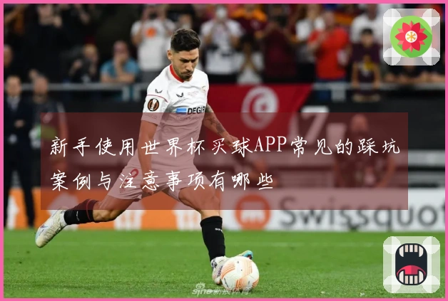 新手使用世界杯买球APP常见的踩坑案例与注意事项有哪些